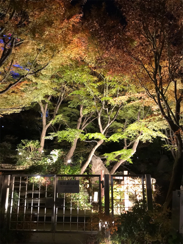 f:id:asakusa5809:20241216101354j:image