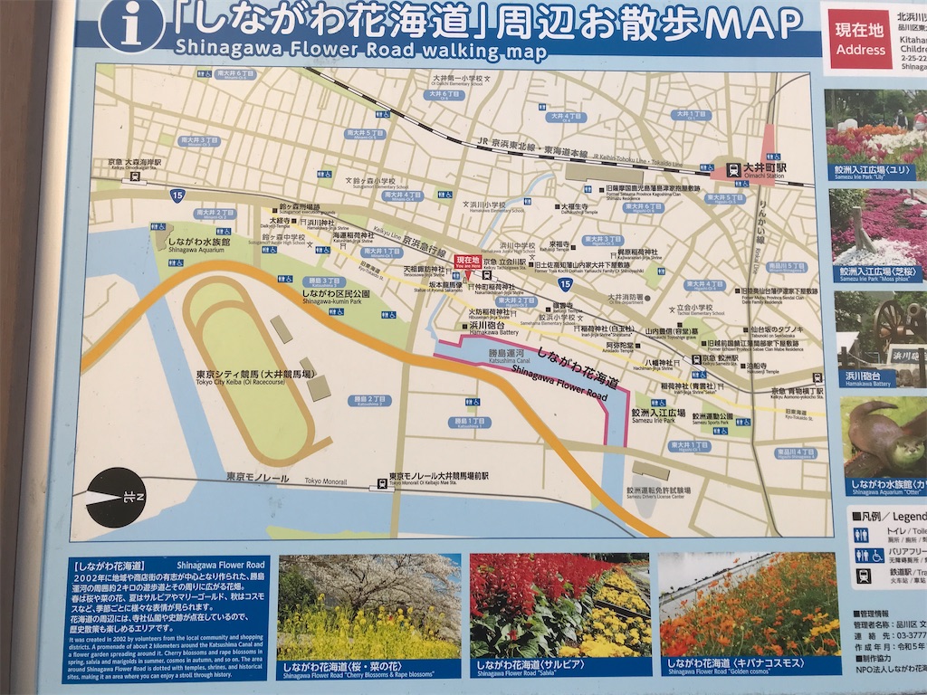 f:id:asakusa5809:20250105154202j:image