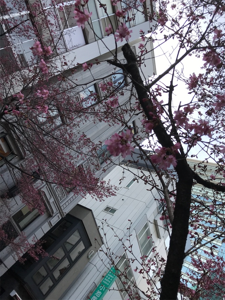 f:id:asakusa5809:20250301163151j:image