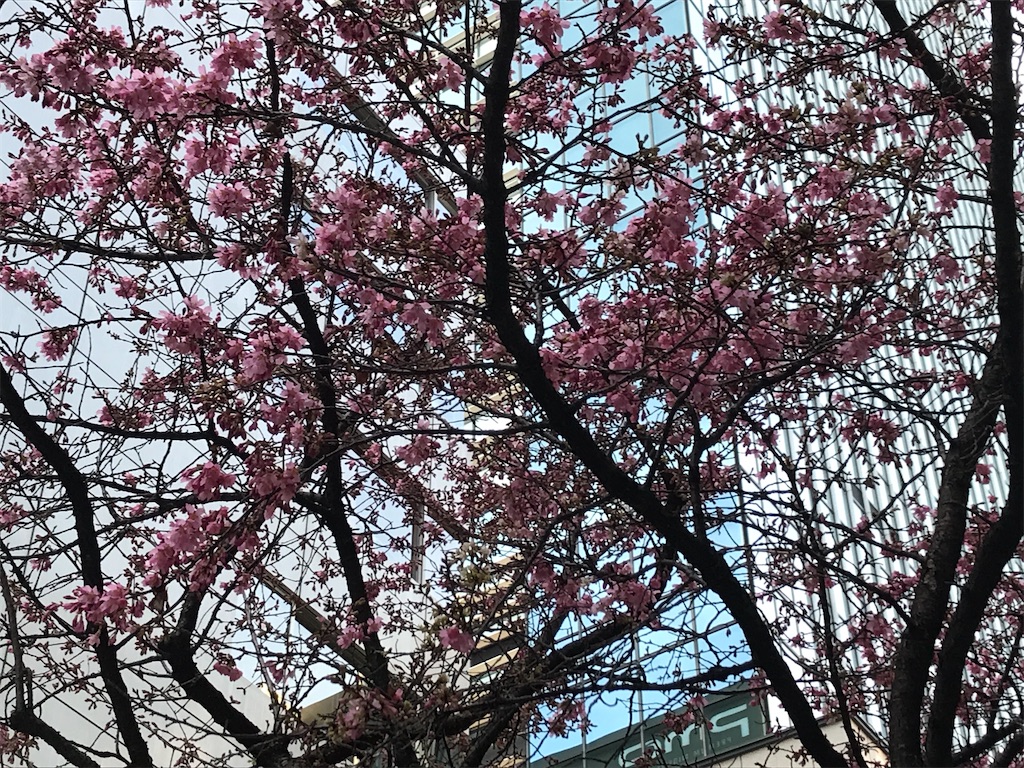 f:id:asakusa5809:20250301163215j:image