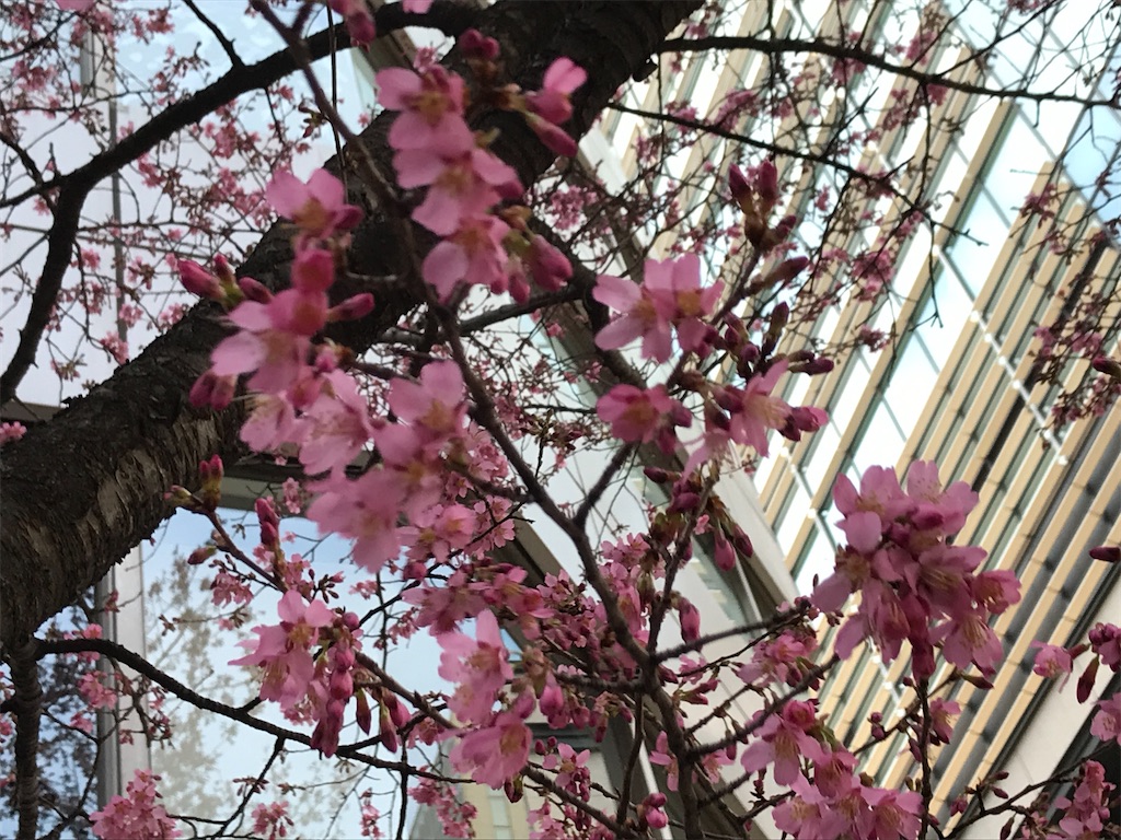 f:id:asakusa5809:20250301163224j:image
