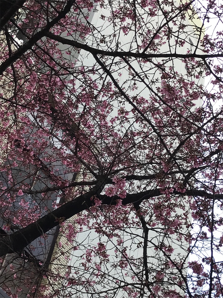 f:id:asakusa5809:20250301163228j:image