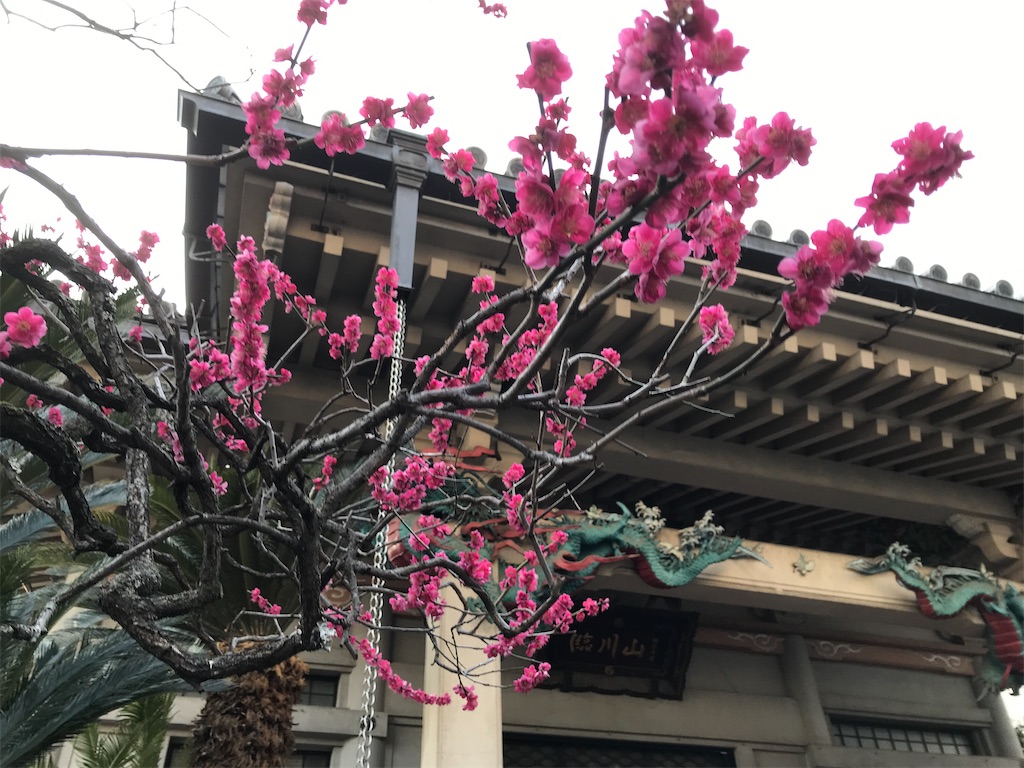 f:id:asakusa5809:20250301185759j:image