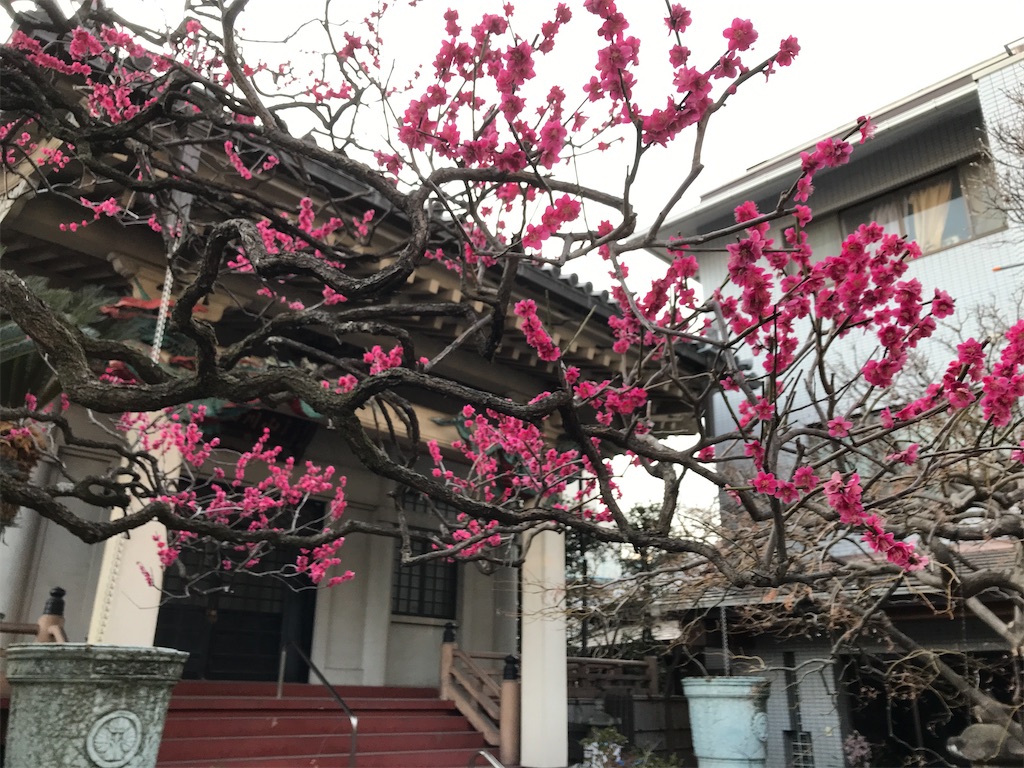 f:id:asakusa5809:20250301185802j:image