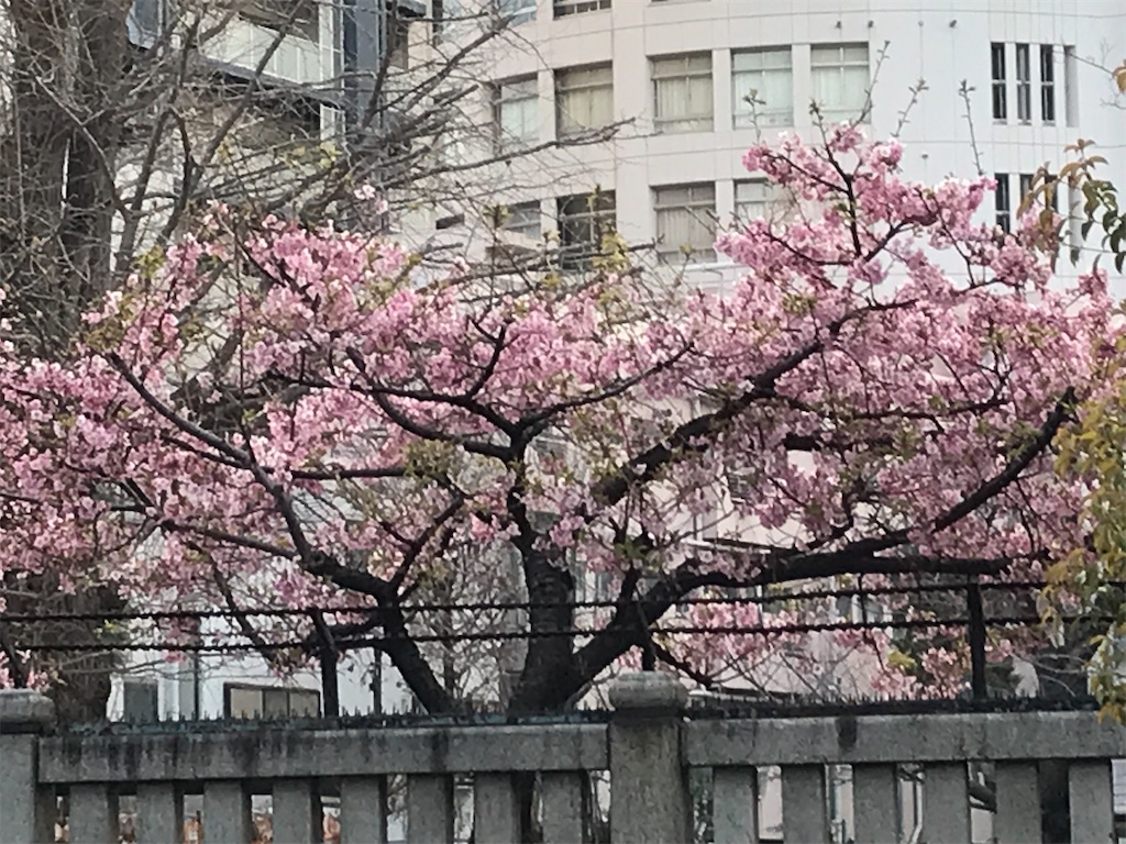 f:id:asakusa5809:20250301185806j:image