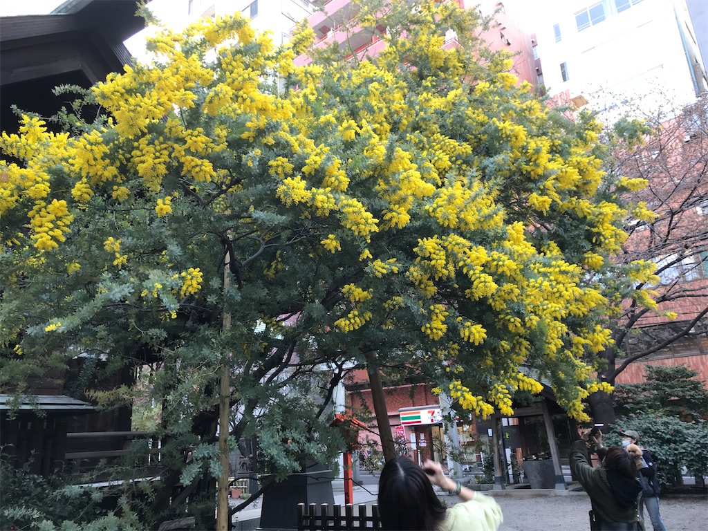 f:id:asakusa5809:20250303171123j:image