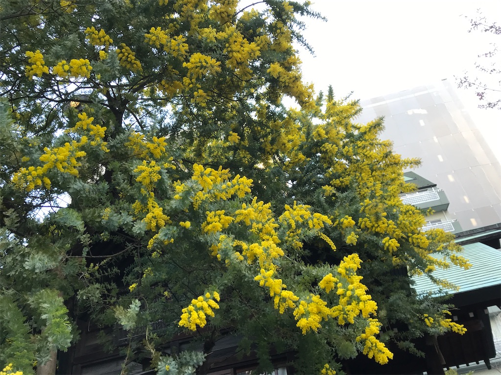 f:id:asakusa5809:20250303171140j:image