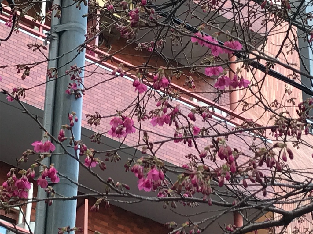 f:id:asakusa5809:20250303171202j:image