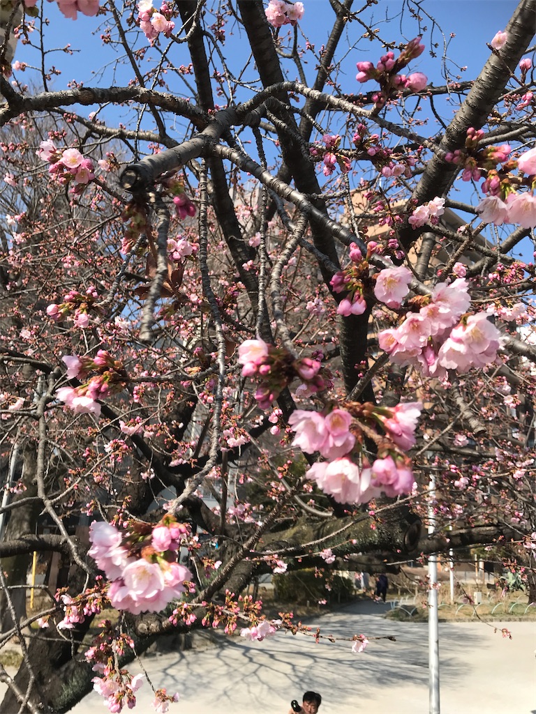 f:id:asakusa5809:20250303171235j:image