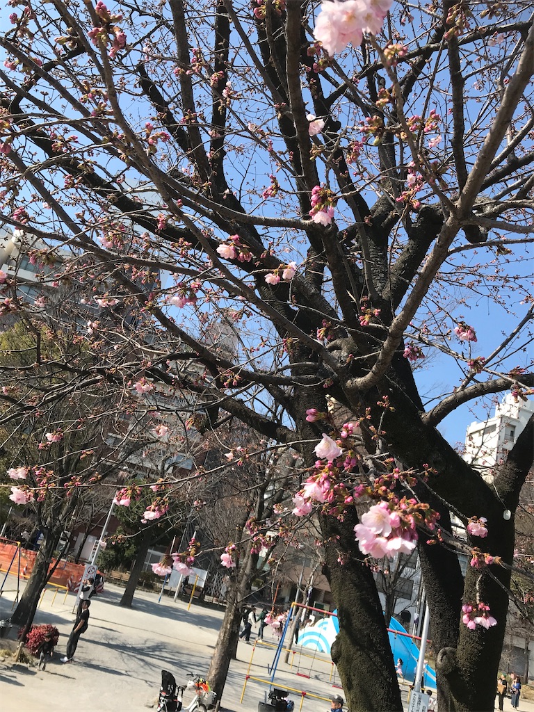 f:id:asakusa5809:20250303171257j:image
