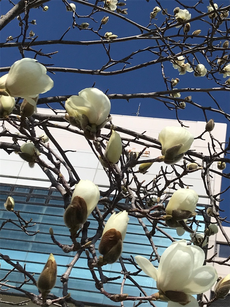 f:id:asakusa5809:20250303171330j:image