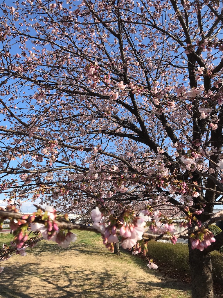 f:id:asakusa5809:20250309160826j:image