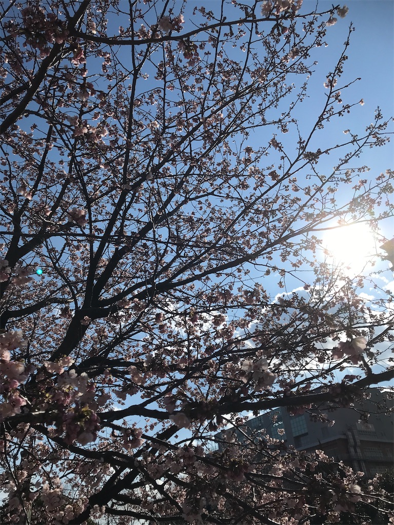 f:id:asakusa5809:20250309160840j:image