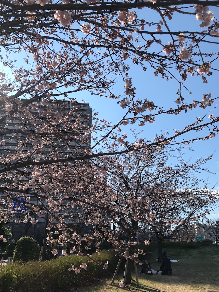 f:id:asakusa5809:20250309160851j:image