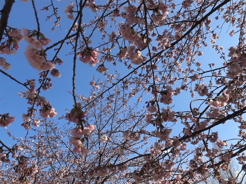f:id:asakusa5809:20250309160902j:image