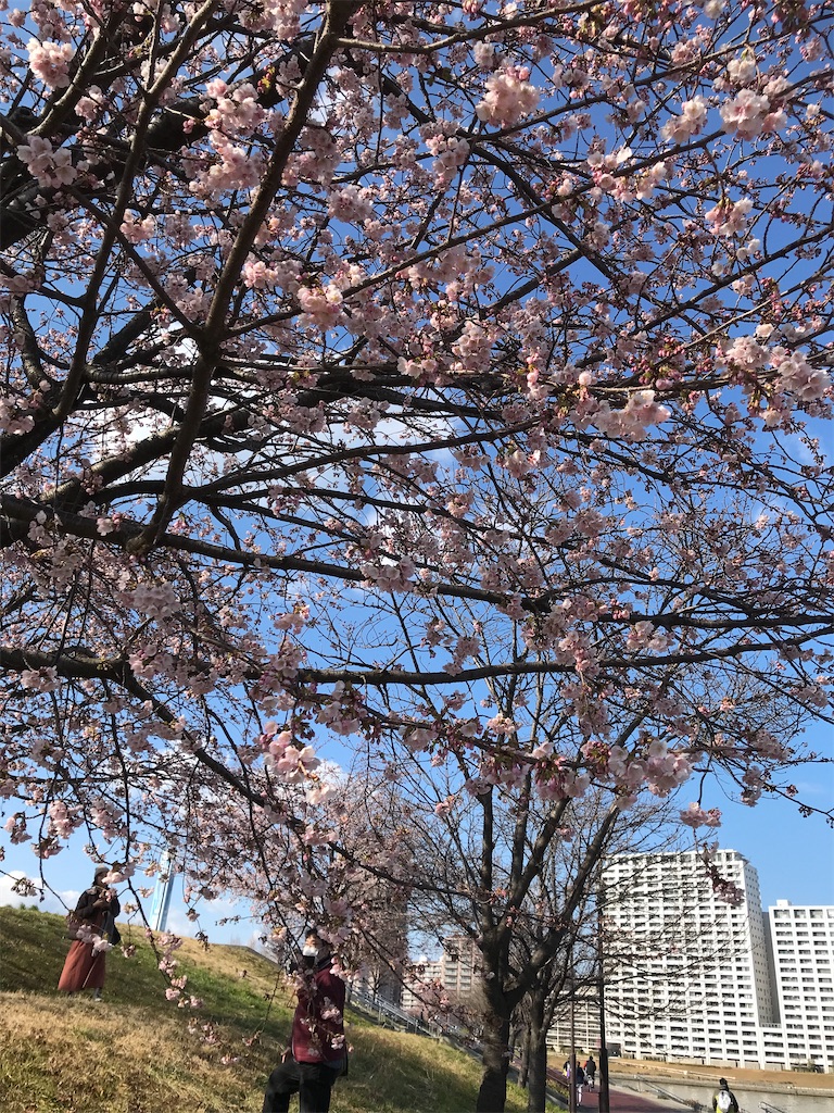 f:id:asakusa5809:20250309160915j:image