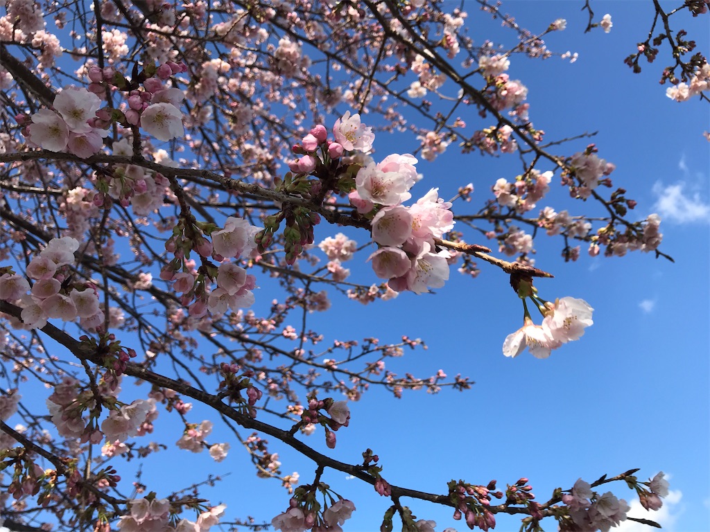 f:id:asakusa5809:20250309160927j:image