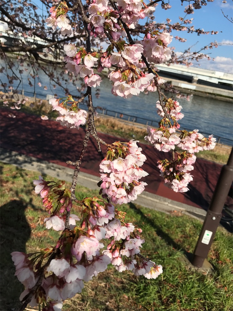 f:id:asakusa5809:20250309160941j:image