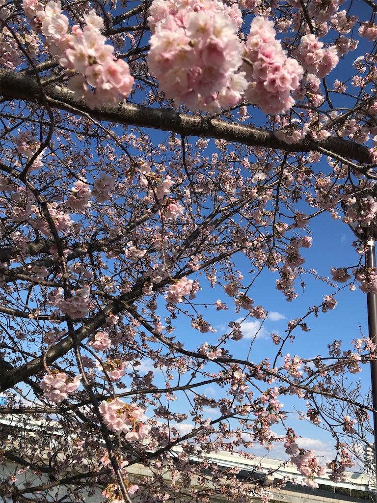f:id:asakusa5809:20250309160949j:image