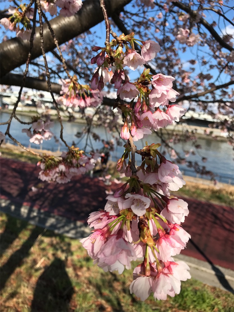 f:id:asakusa5809:20250309161001j:image