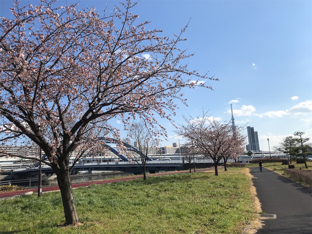 f:id:asakusa5809:20250309161113j:image