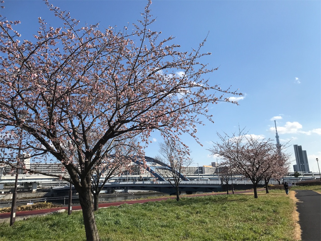 f:id:asakusa5809:20250309161136j:image