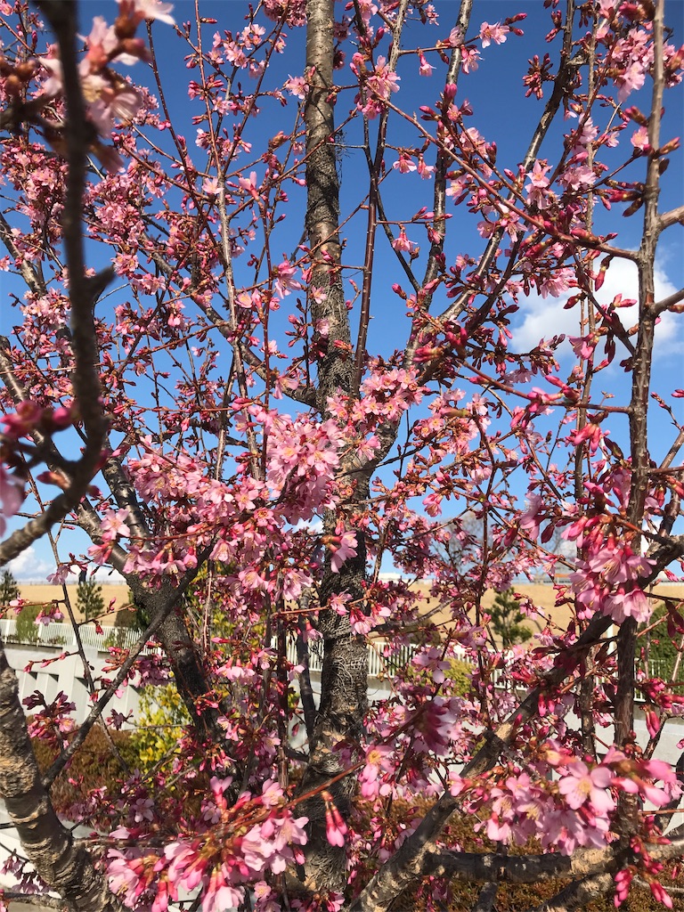 f:id:asakusa5809:20250309161342j:image