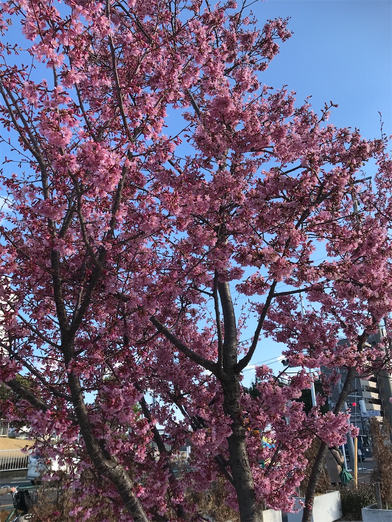 f:id:asakusa5809:20250309161355j:image