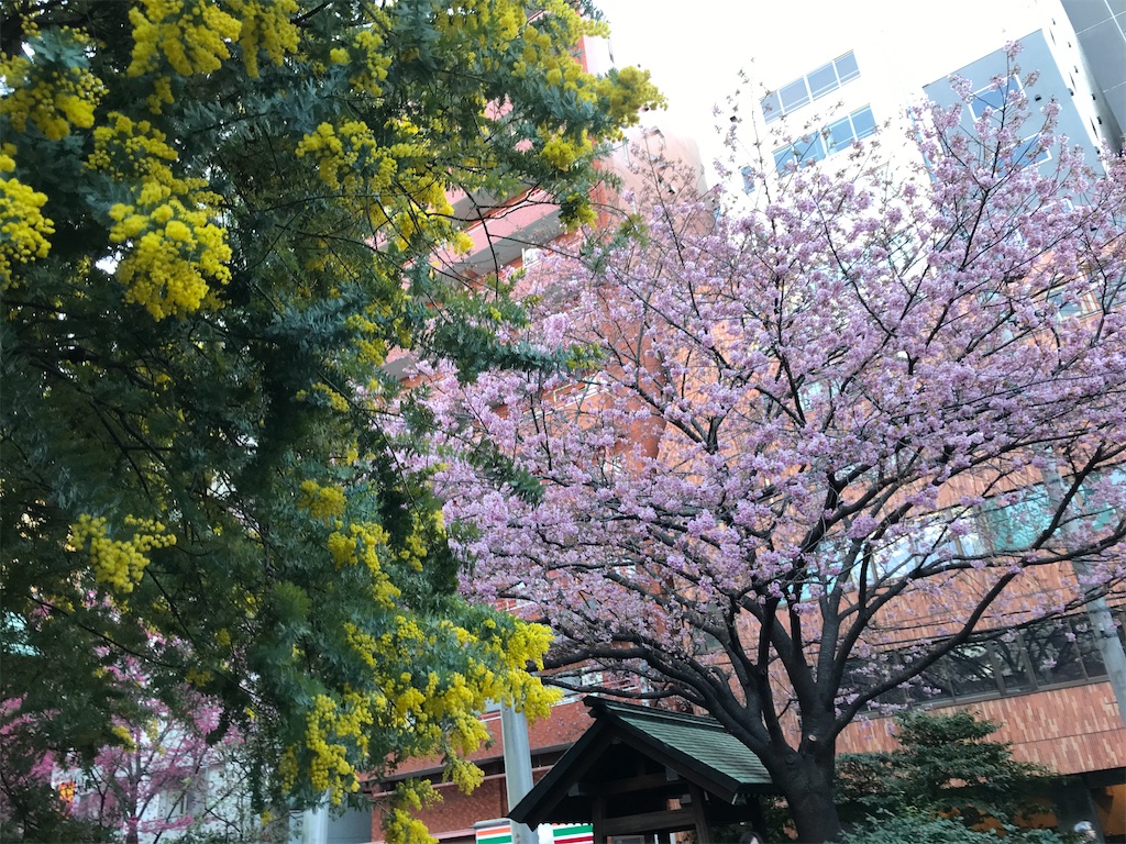 f:id:asakusa5809:20250310071810j:image