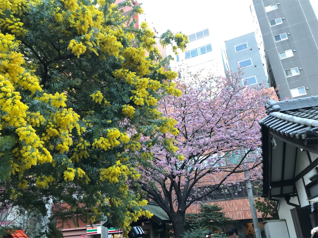 f:id:asakusa5809:20250310071831j:image