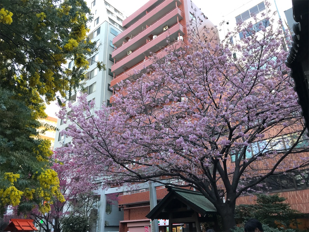 f:id:asakusa5809:20250310071844j:image