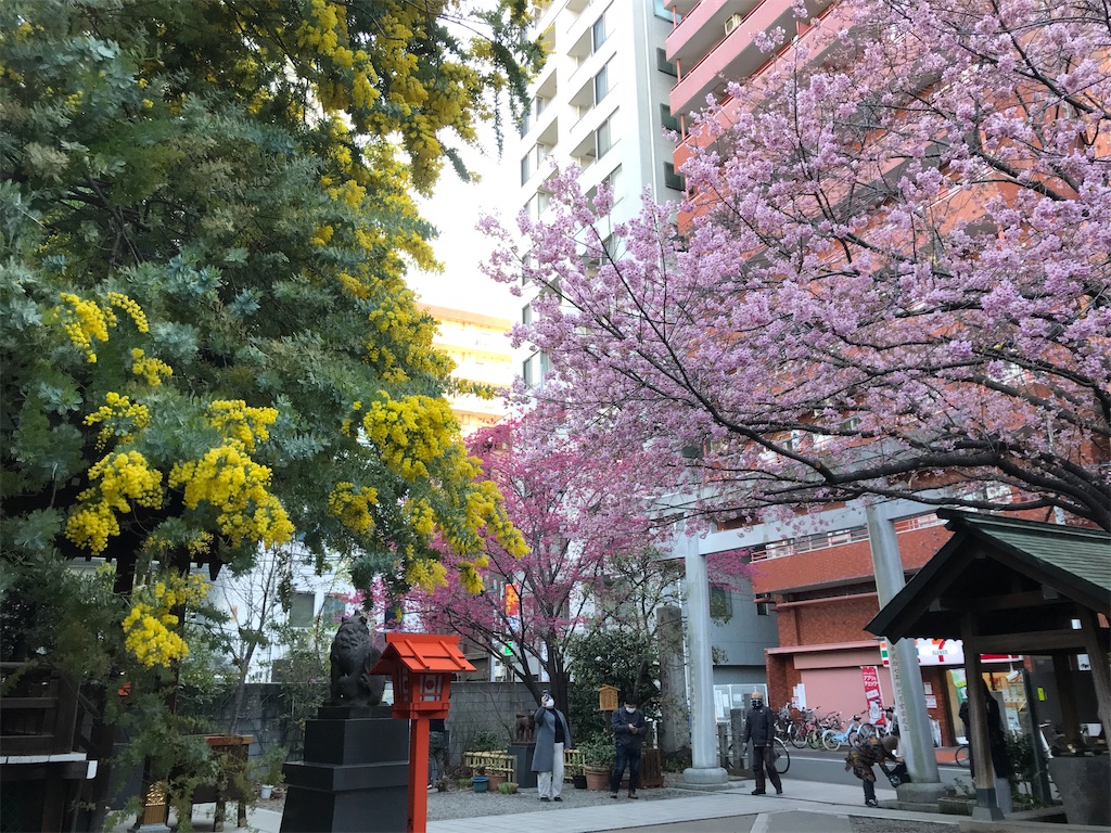 f:id:asakusa5809:20250310071855j:image