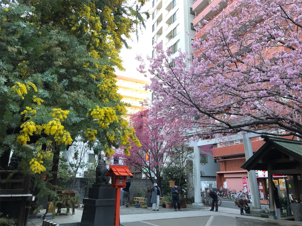 f:id:asakusa5809:20250310071920j:image