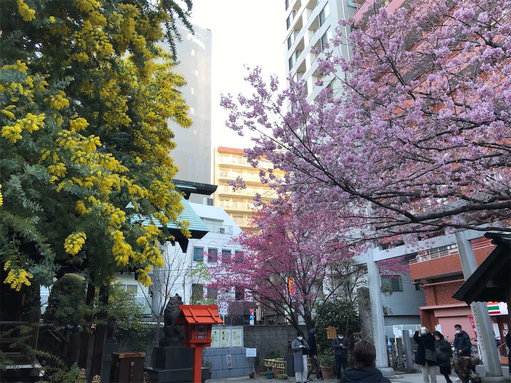 f:id:asakusa5809:20250310071929j:image
