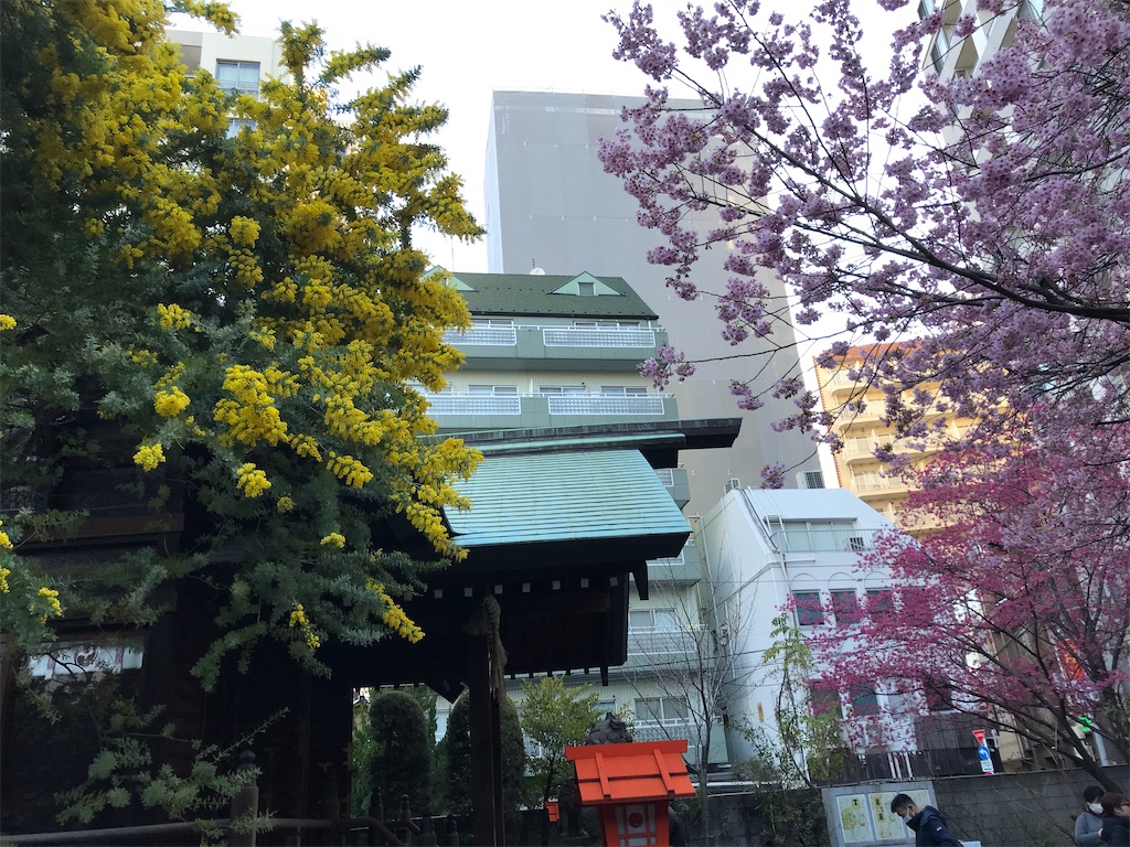 f:id:asakusa5809:20250310071940j:image