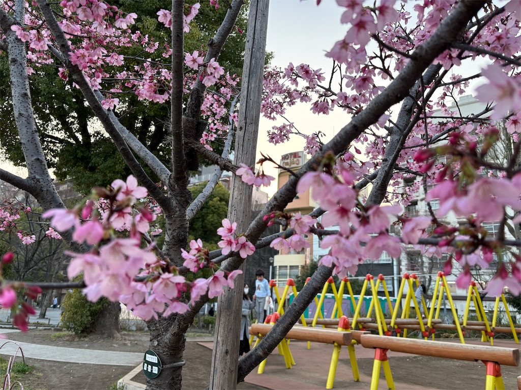f:id:asakusa5809:20250326053718j:image