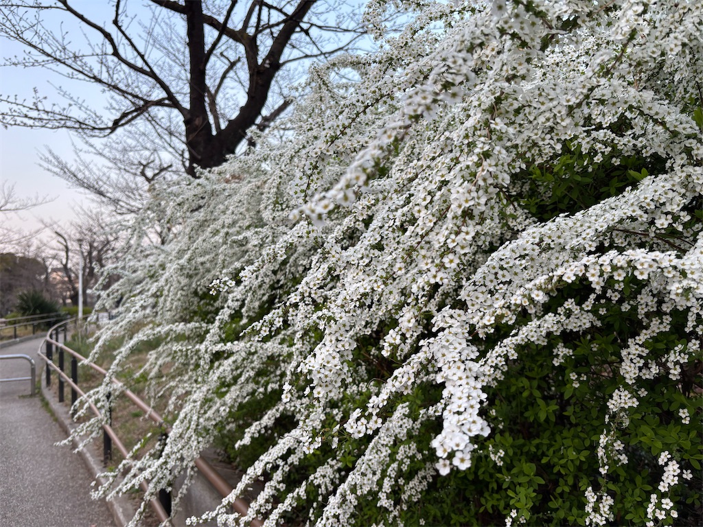 f:id:asakusa5809:20250326053740j:image