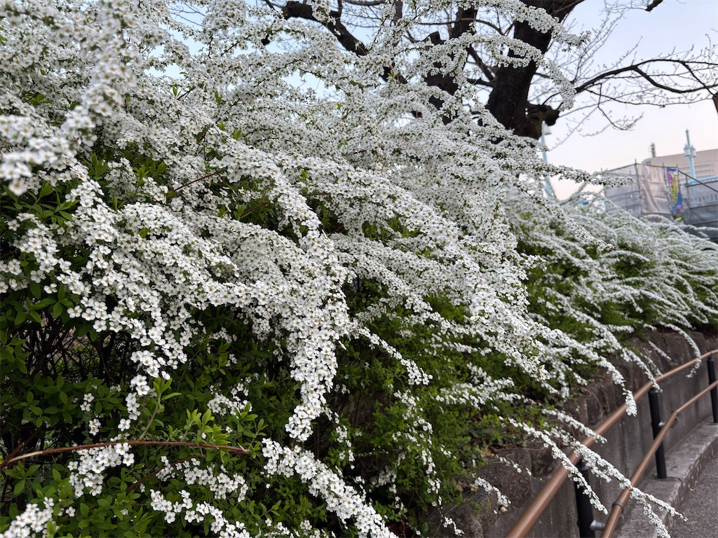 f:id:asakusa5809:20250326053743j:image