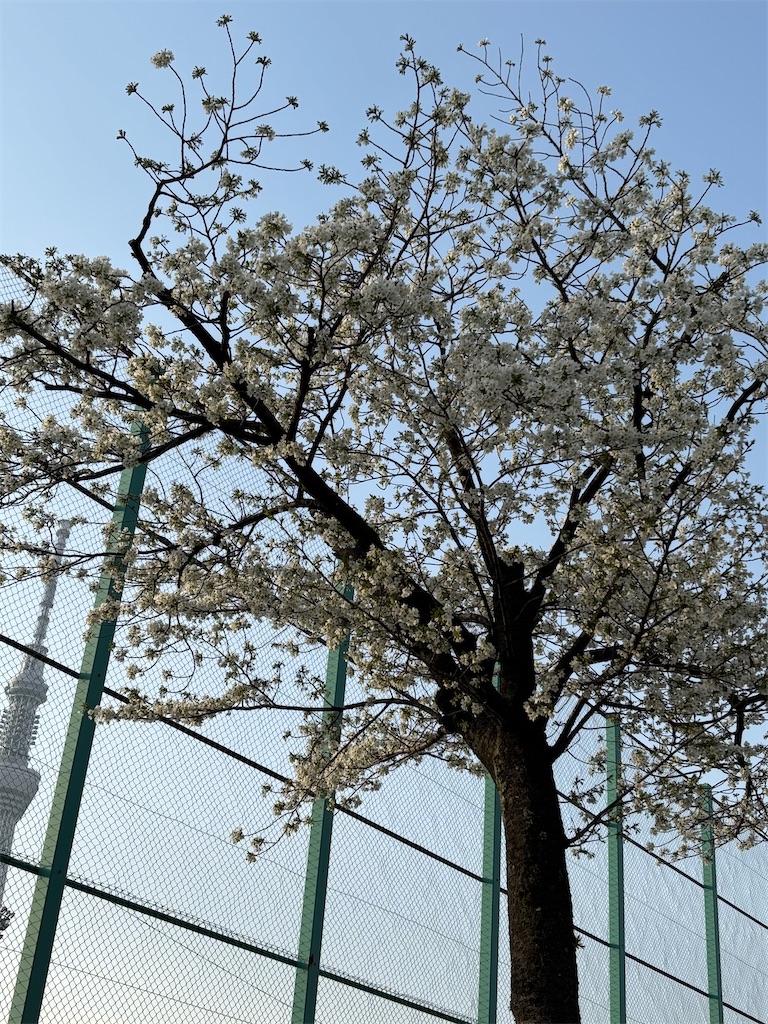 f:id:asakusa5809:20250326192144j:image