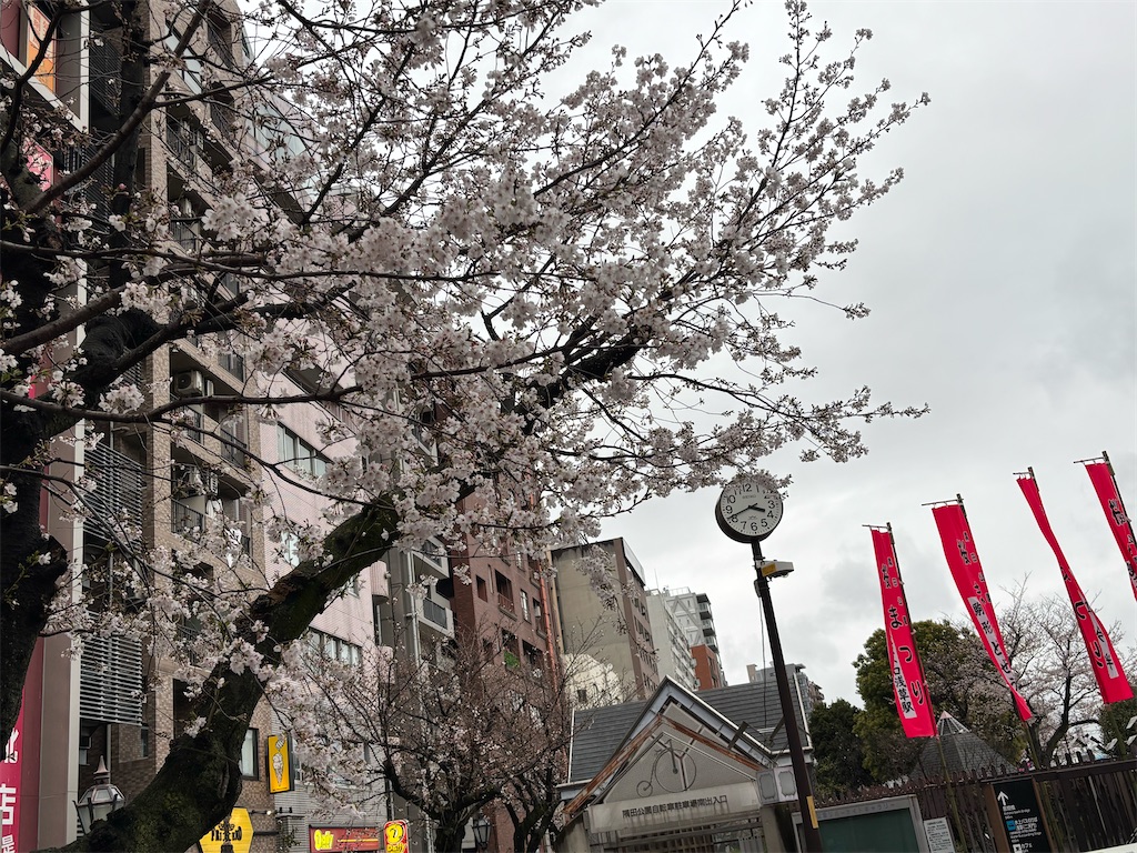 f:id:asakusa5809:20250329185012j:image