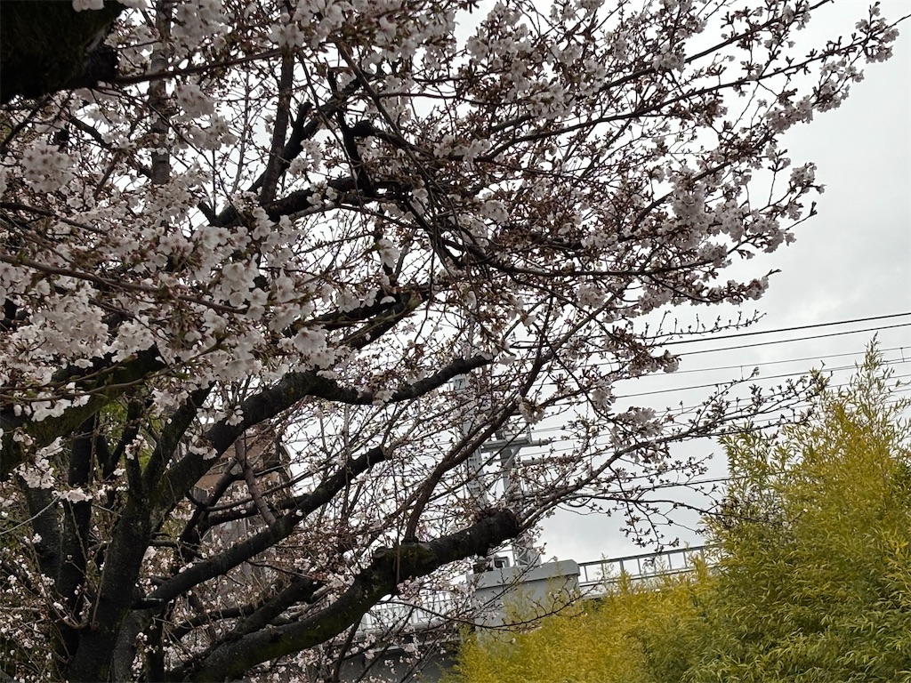 f:id:asakusa5809:20250329185027j:image