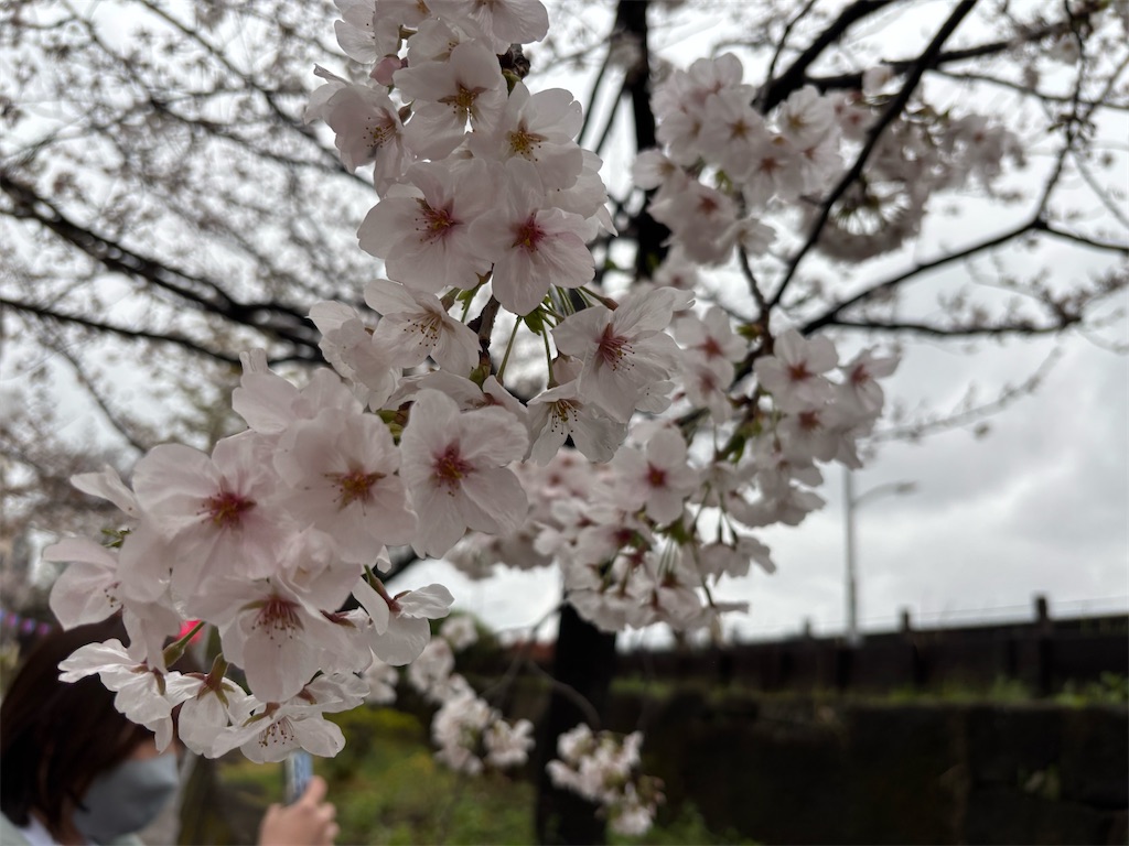 f:id:asakusa5809:20250329185045j:image