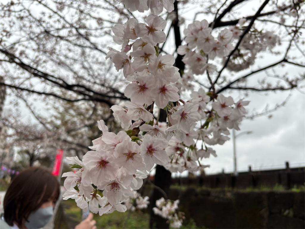 f:id:asakusa5809:20250329185052j:image