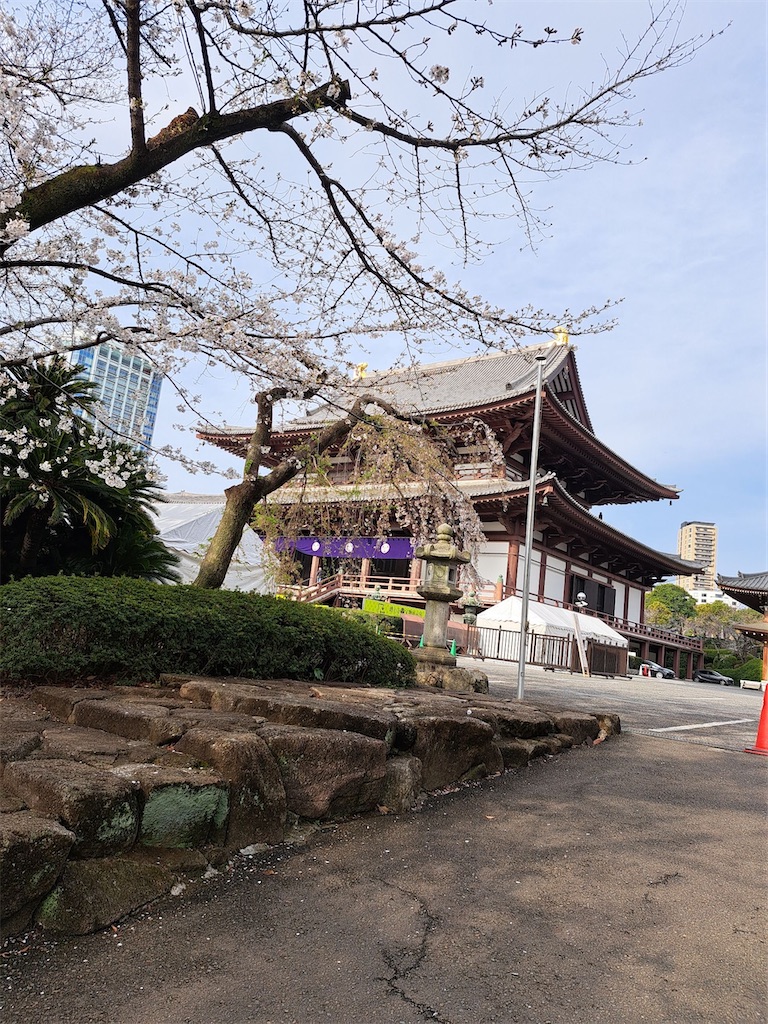 f:id:asakusa5809:20250330185455j:image