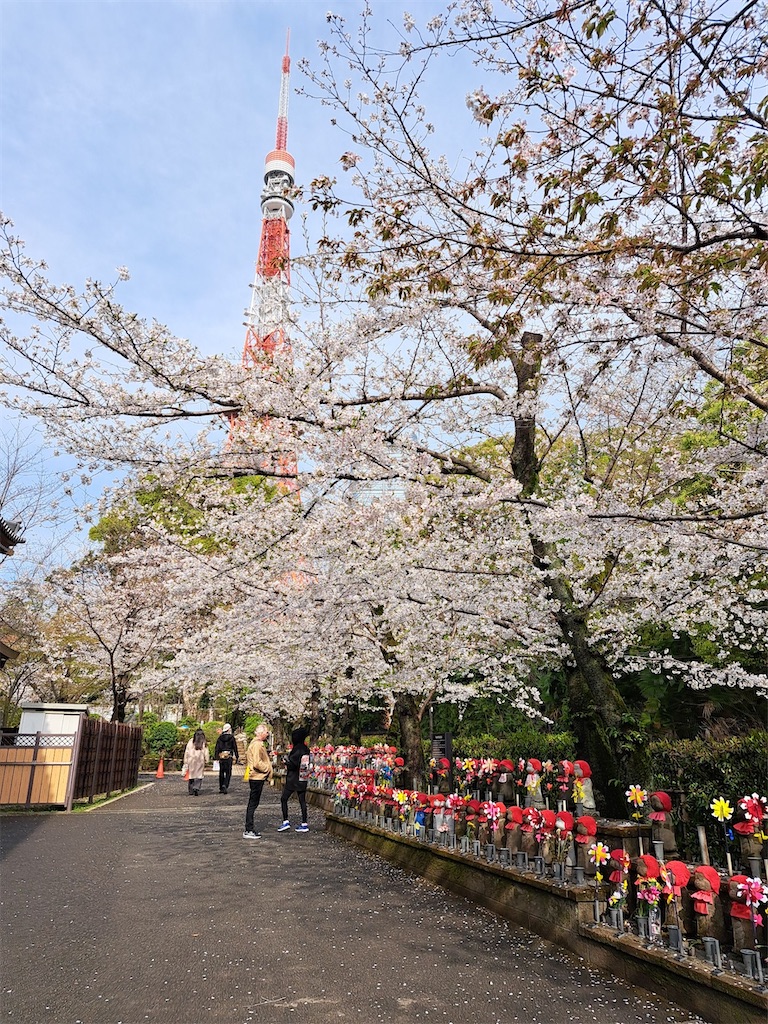 f:id:asakusa5809:20250330185533j:image