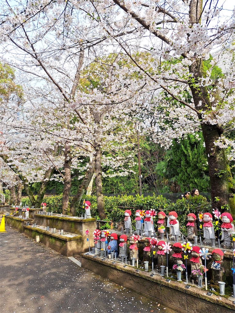 f:id:asakusa5809:20250330185541j:image