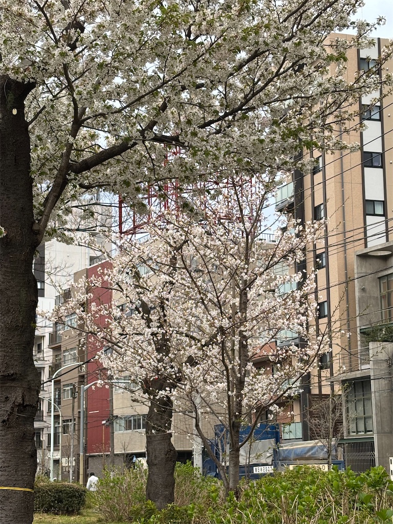 f:id:asakusa5809:20250331201708j:image