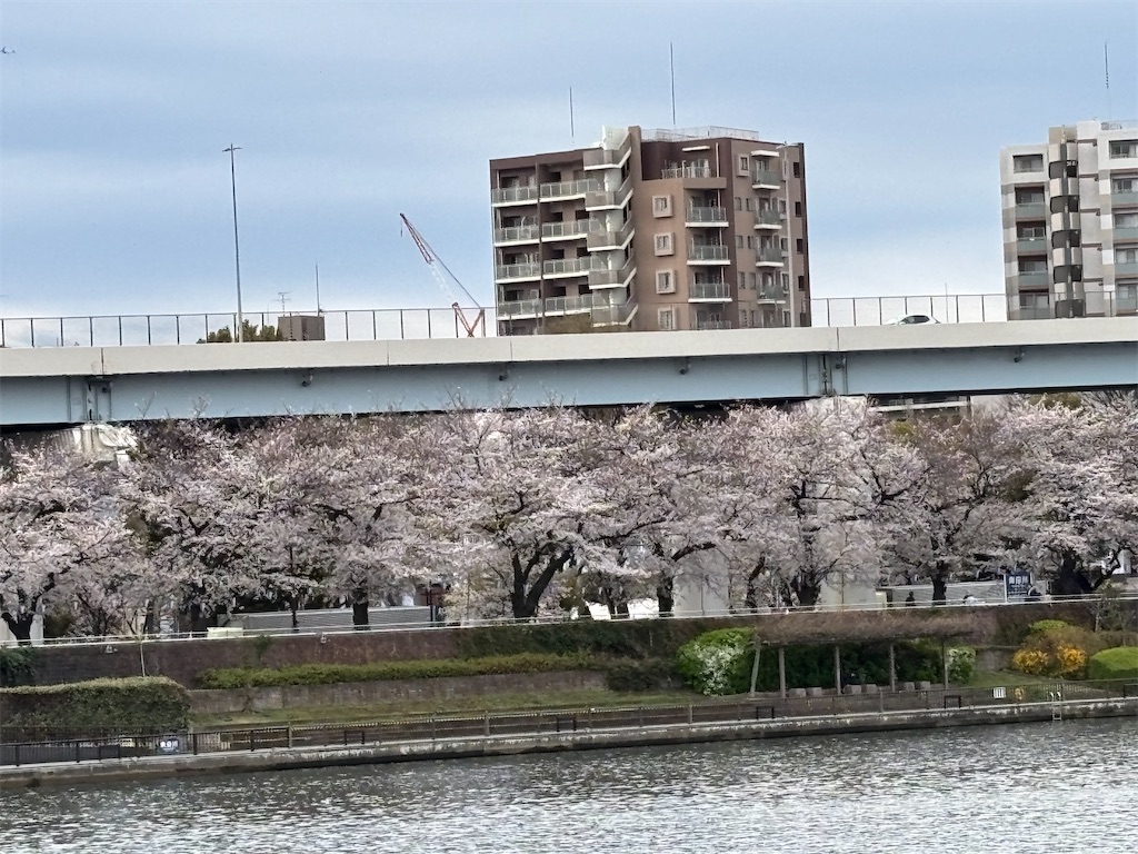 f:id:asakusa5809:20250331201741j:image