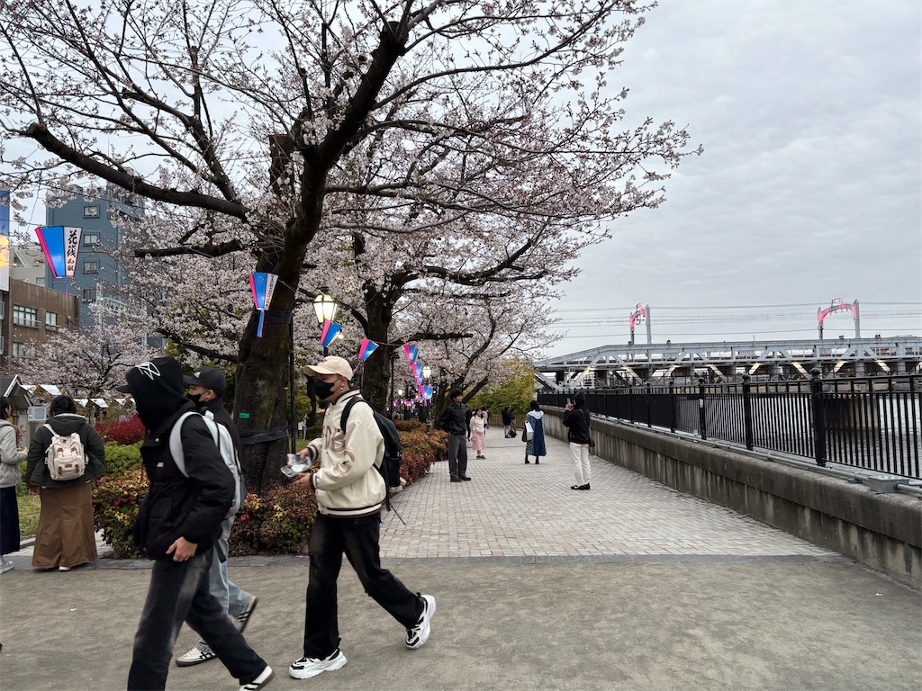 f:id:asakusa5809:20250331201747j:image