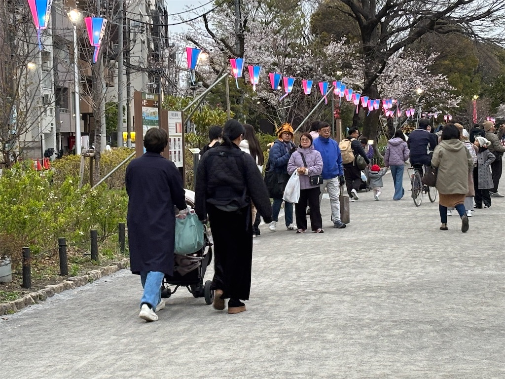 f:id:asakusa5809:20250331201749j:image
